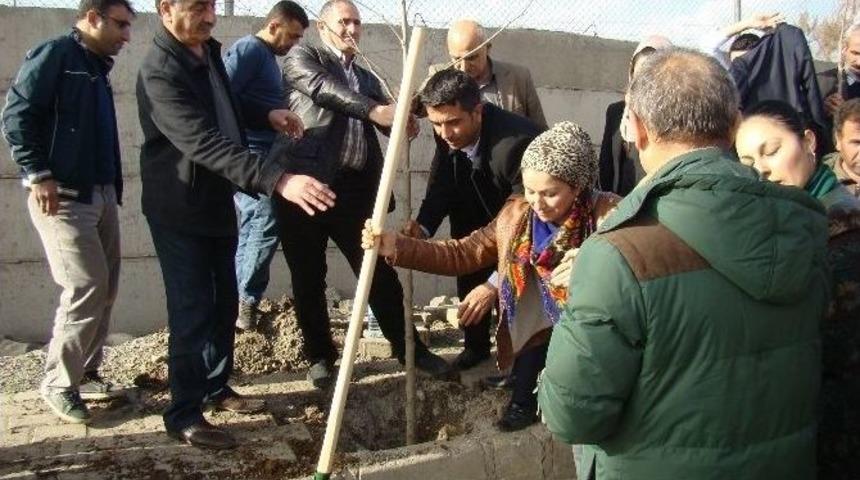 Silopi Belediyesi &Uuml;&ccedil; Bin Fidanı Toprakla Buluşturdu