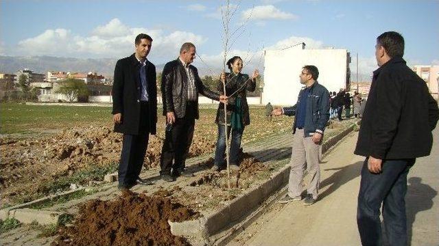Silopi Belediyesi Üç Bin Fidanı Toprakla Buluşturdu