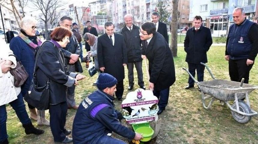 Sokak Hayvanlarına Şehzadeler Sahip &Ccedil;ıktı