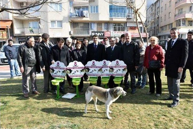 Sokak Hayvanlarına Şehzadeler Sahip Çıktı