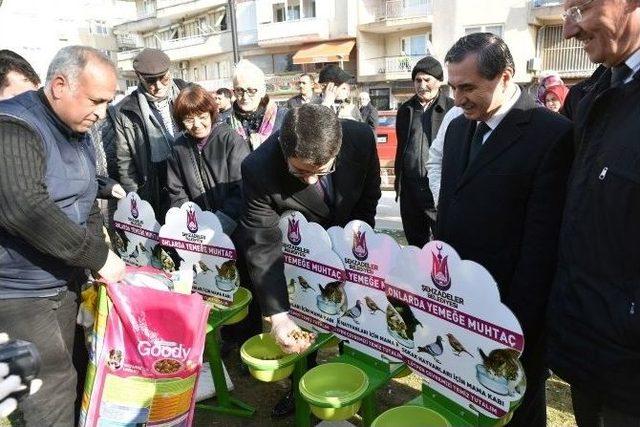 Sokak Hayvanlarına Şehzadeler Sahip Çıktı