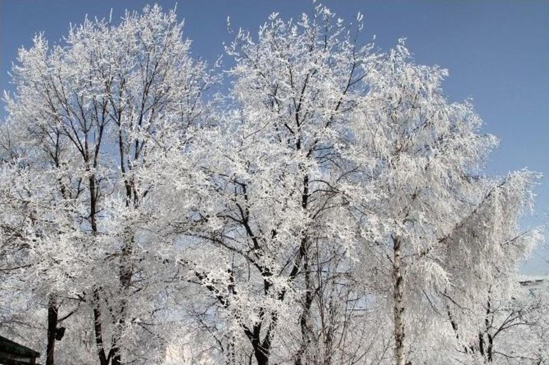 Ardahan&rsquo;da Kartpostallık Manzaralar