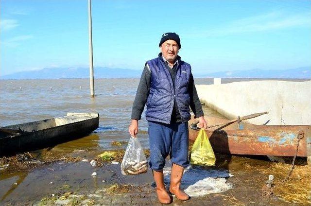 Söke Ovası’nda Taşkın Evleri Tehdit Ediyor