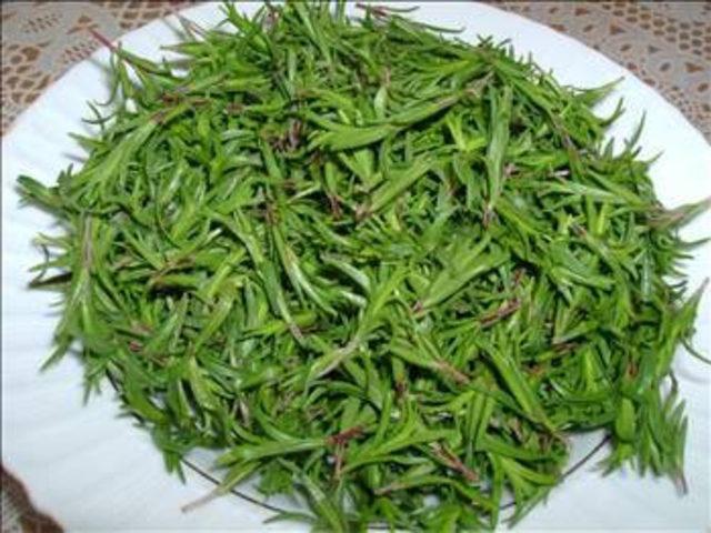 Zahter Otu nun faydaları 2