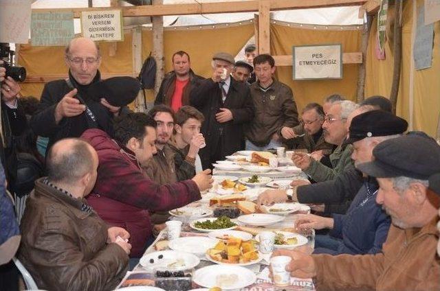 Fatsalılardan Siyanür Tepkisi