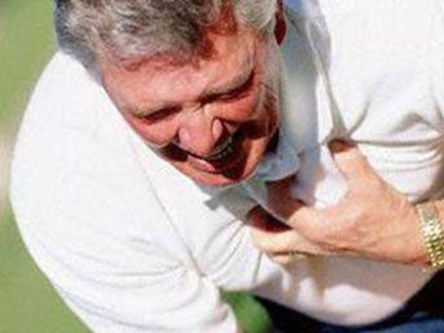 Zahter Otu nun faydaları 6