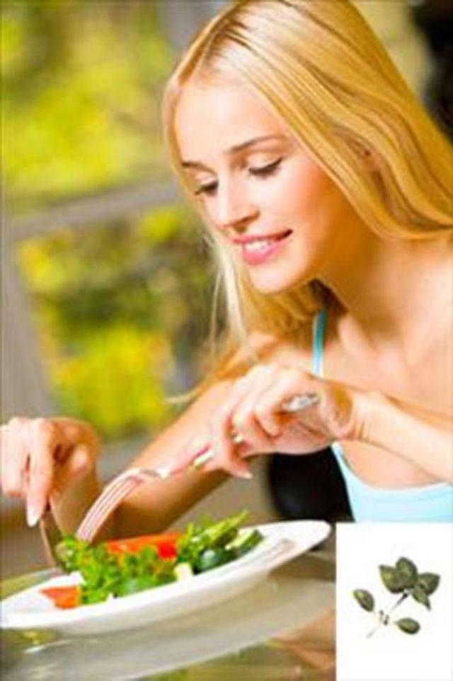 Zahter Otu nun faydaları 7