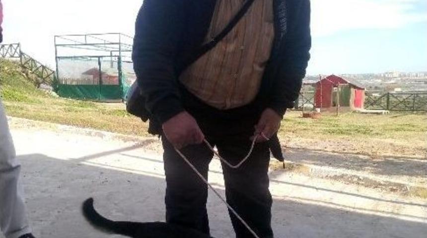 Muratpaşa&rsquo;dan &Ccedil;ağrı; &ldquo;satın Alma Sahiplen&rdquo;