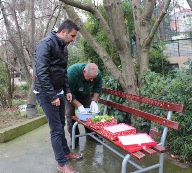 Darıca Hayvanat Bahçesi'nde Sevgililer Gününde Hayvanlara Ambalajlı Özel Yiyecekler