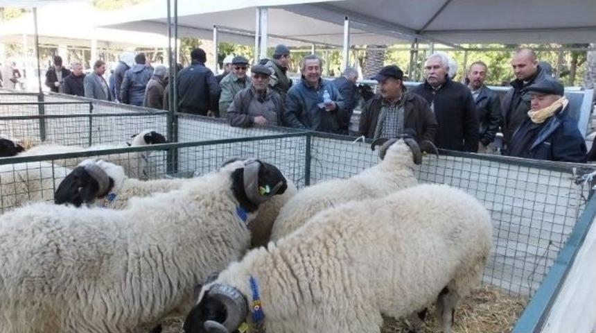 Burhaniyeli &Ccedil;ift&ccedil;iler Fuarlarda Yeni Teknolojileri Takip Ediyor
