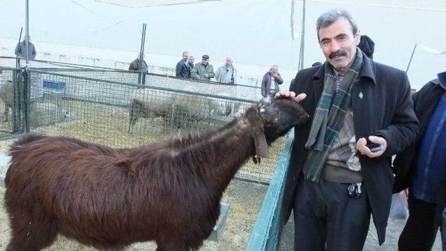 Burhaniyeli Çiftçiler Fuarlarda Yeni Teknolojileri Takip Ediyor