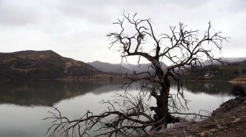 Baraj, Yolu Ve Köprüyü Yuttu, Arduç Çifti 5 Aydır Köyde Mahsur Kaldı