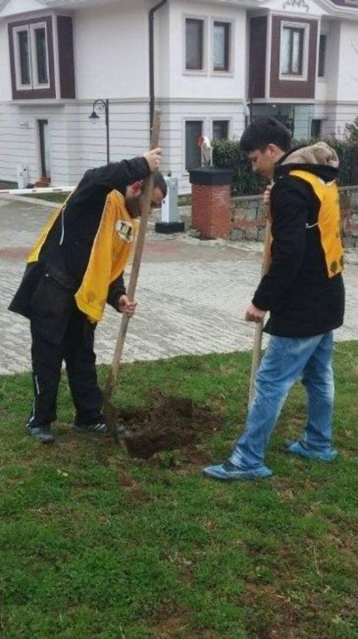 İkinci Sınıf Öğrencilerden Hatıra Ormanı G1