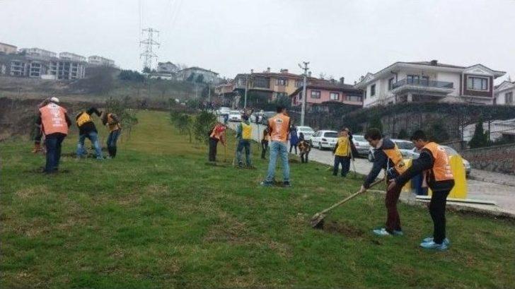 İkinci Sınıf Öğrencilerden Hatıra Ormanı G2