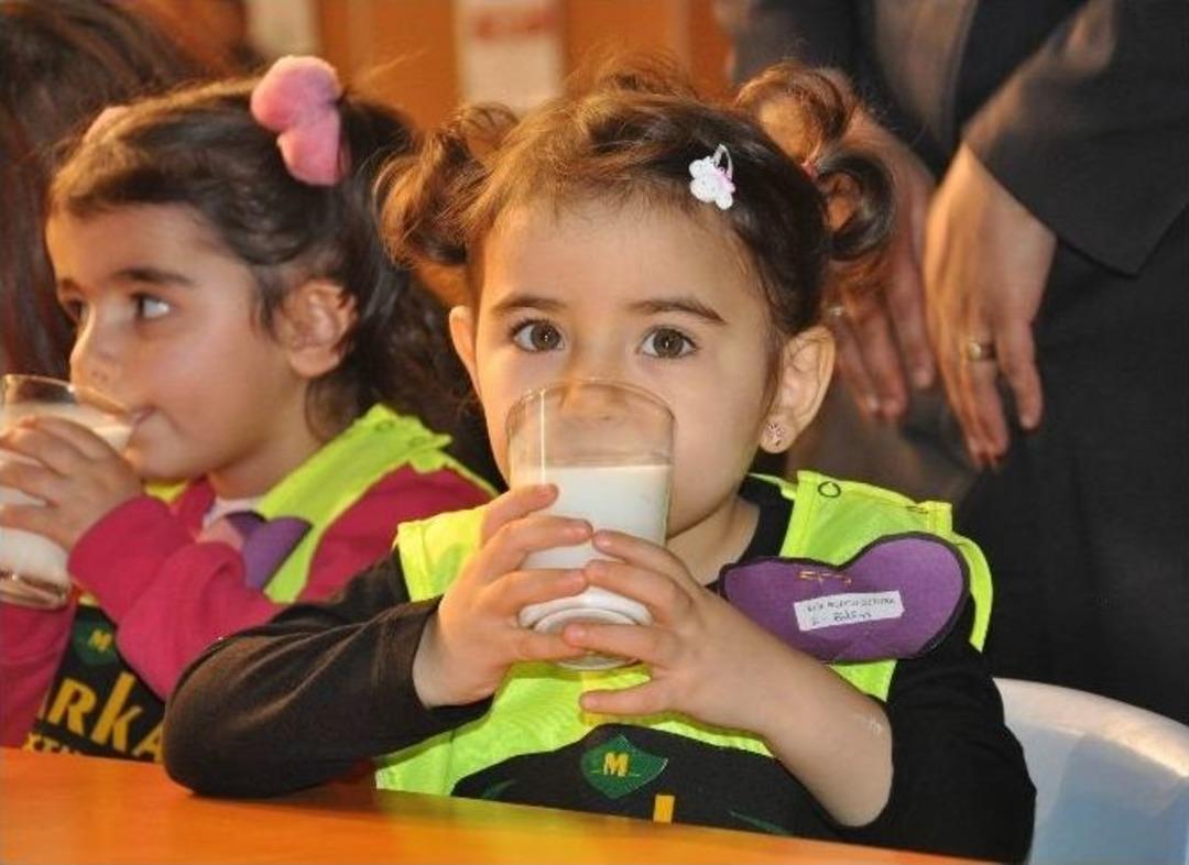 Sivas&rsquo;ta &Ccedil;ocuk Festivali D&uuml;zenlendi