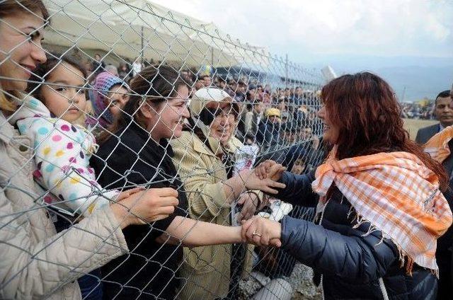 Başkan Çerçioğlu, Söke Ve Çine Deve Güreşlerine Katıldı