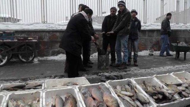 Muş'ta Seyyar Satıcıların Soğuk Çilesi