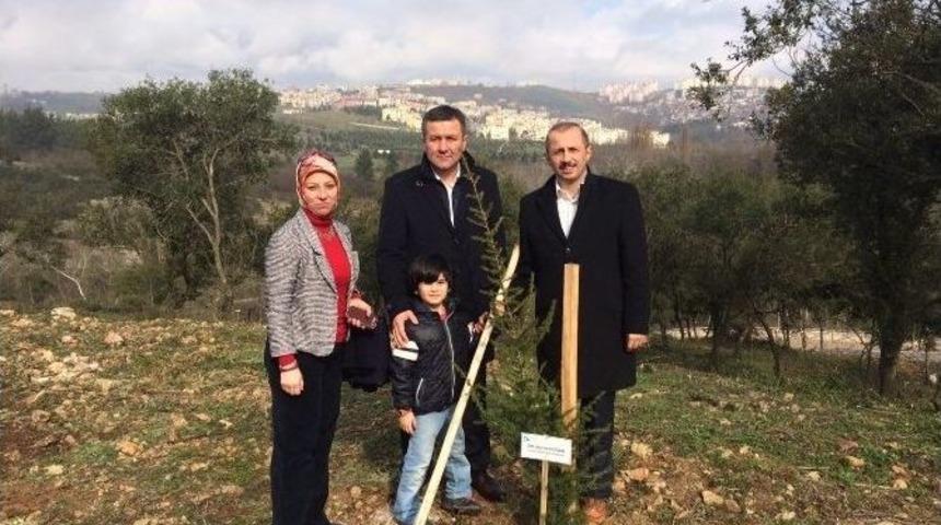 Meclis &Uuml;yeleri Fidan Dikti