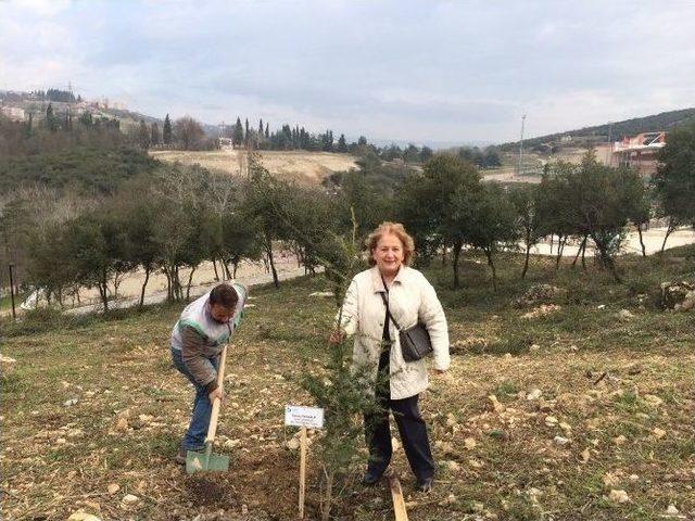 Meclis &Uuml;yeleri Fidan Dikti 1