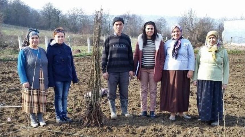 &Ccedil;aycuma&rsquo;da "bitkisel &Uuml;retimi Geliştirme Projesi"