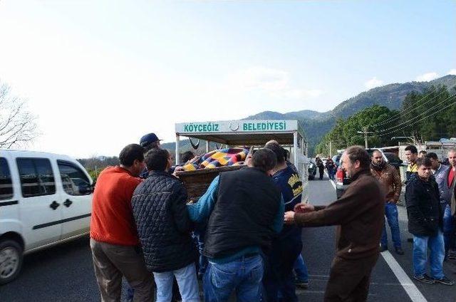 Köyceğiz’de Trafik Kazası: 1 Ölü