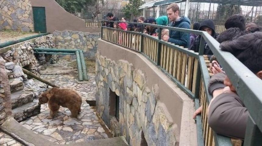 İzciler Hayvanat Bah&ccedil;esini Ziyaret Etti