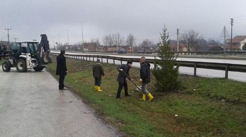 Kaynaşlı Belediyesi D-100&rsquo;&uuml; Ağa&ccedil;landırıyor