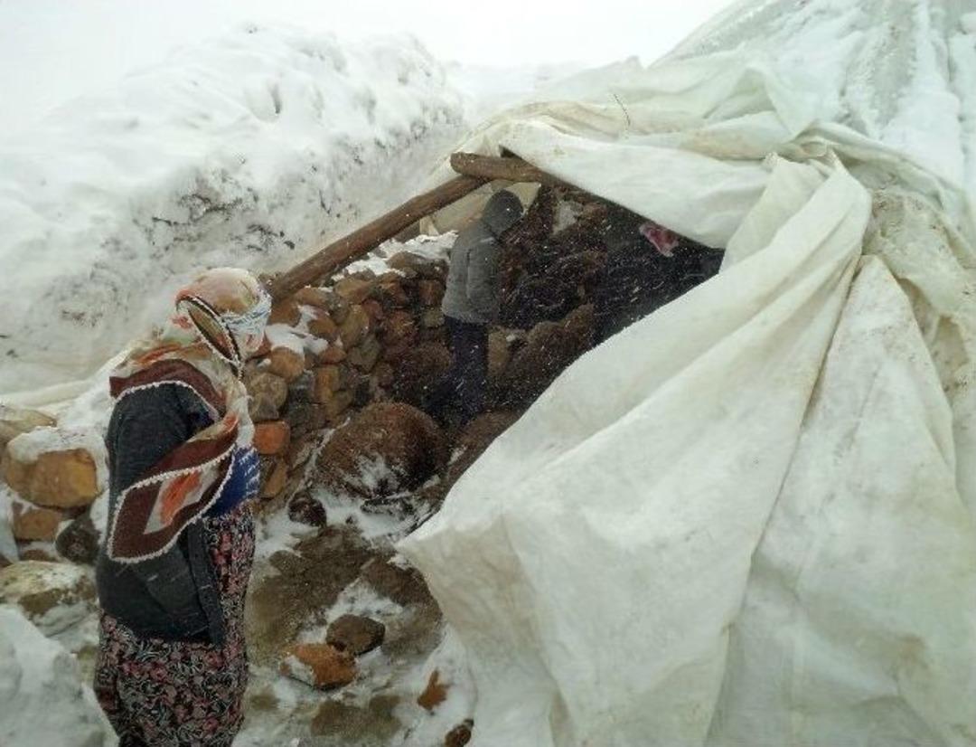 (&ouml;zel Haber) Onlarca Hayvan Soğuktan Dondu