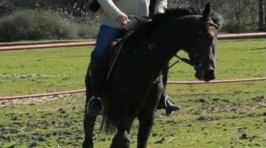 Gen&ccedil; Yıldız Emrah, Korkuteli&rsquo;nin Gururu Oldu