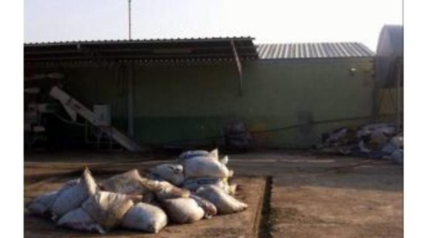 Yemek Molası Verince 700 Kilo Zeytini Çalındı