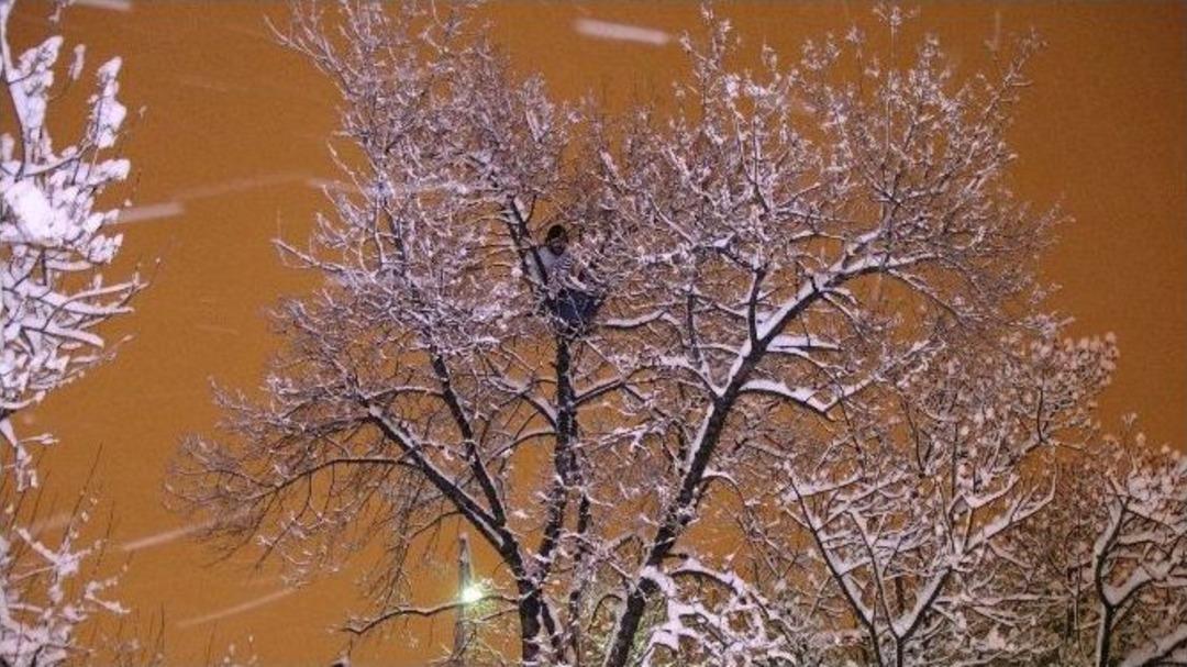 Kar Yağışı Altında Ağa&ccedil; Tepesinde İntihar Girişimi