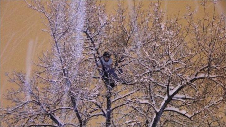 Kar Yağışı Altında Ağaç Tepesinde İntihar Girişimi G1