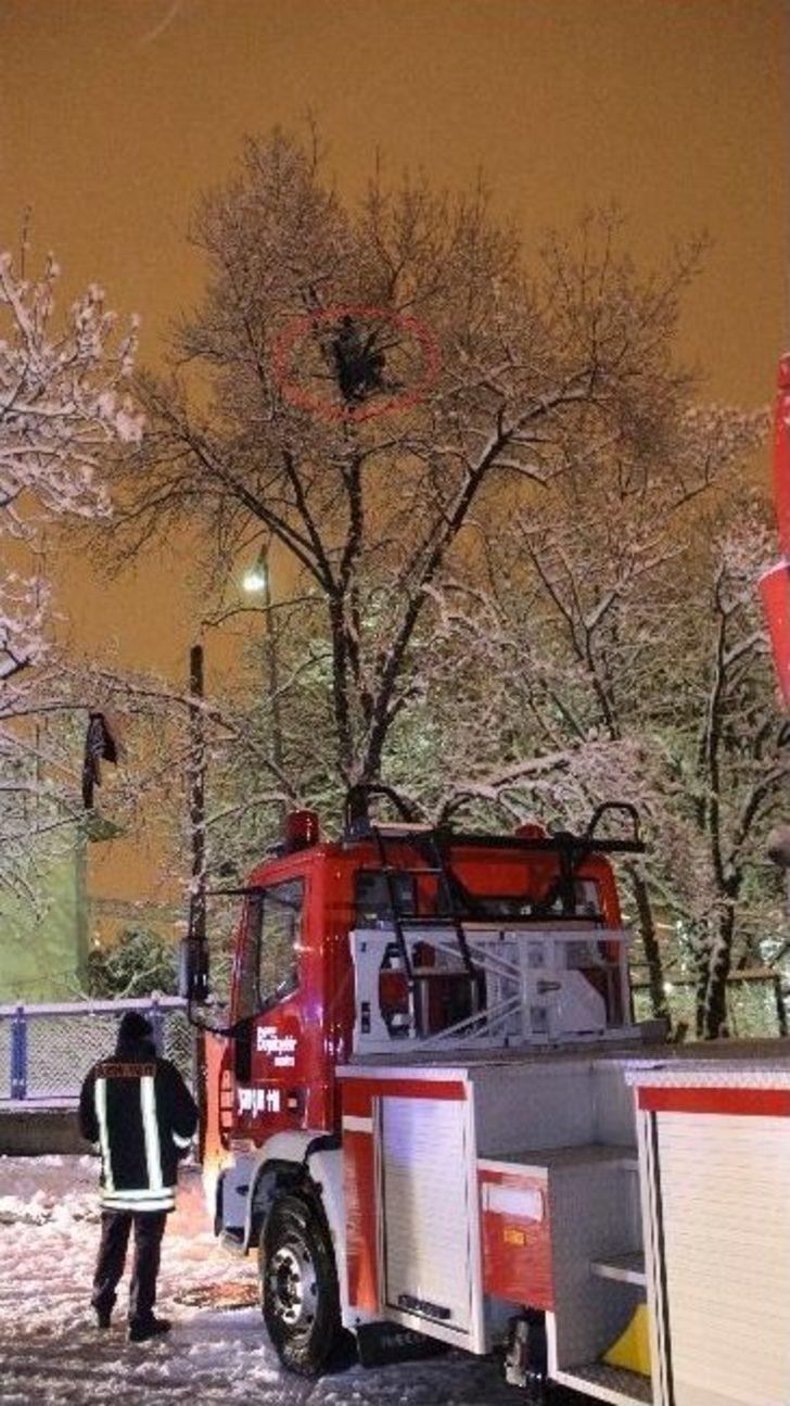 Kar Yağışı Altında Ağaç Tepesinde İntihar Girişimi G2