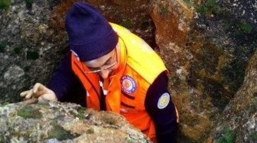 Av Köpeğini Kurtarma Operasyonu