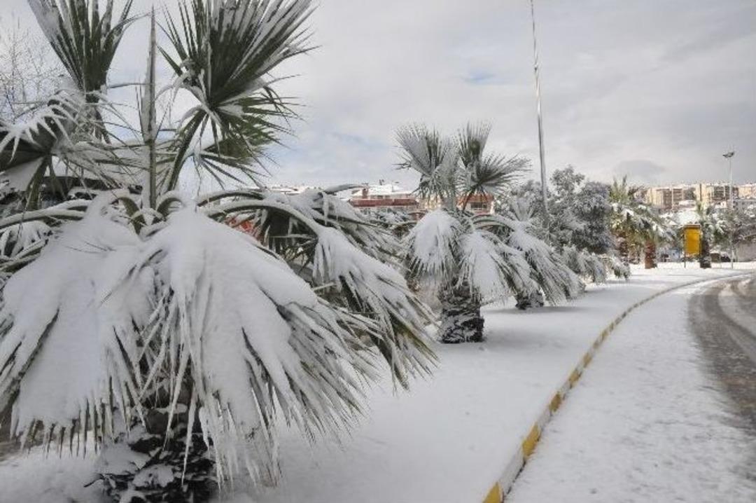 Ak&ccedil;akoca Beyaz Gelinliğini Giydi