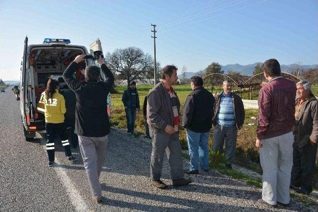 Kediyi Kurtarayım Derken Tarlaya Uçtu