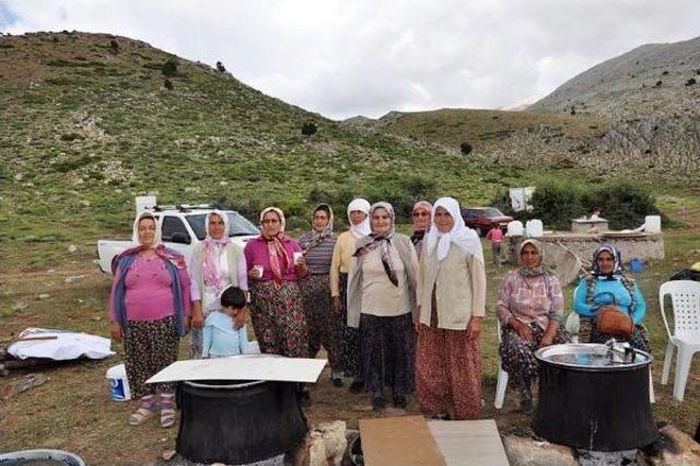 350 Yıllık Yayla Davası