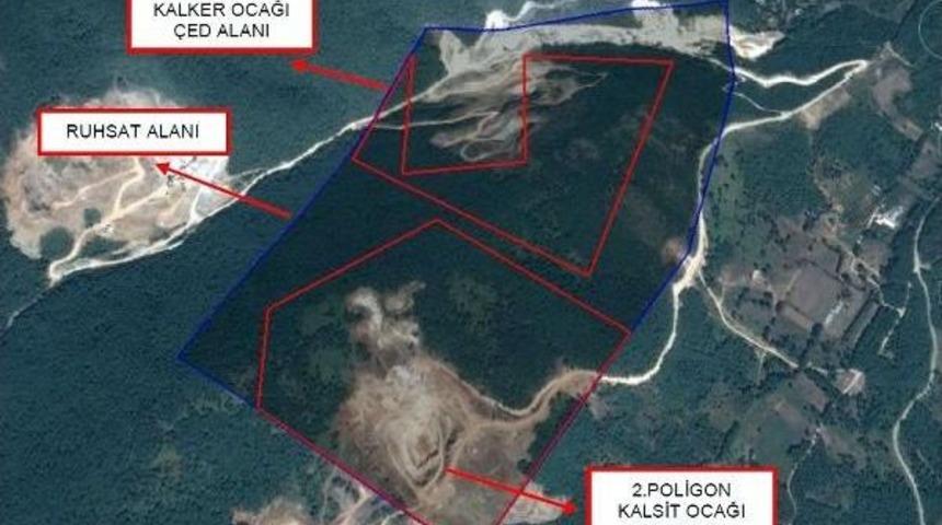 Mahkeme 192 Bin Ağacı Katledecek Taşocağına &Ccedil;ed Raporu Veren Bakanlıktan Savunma Istedi