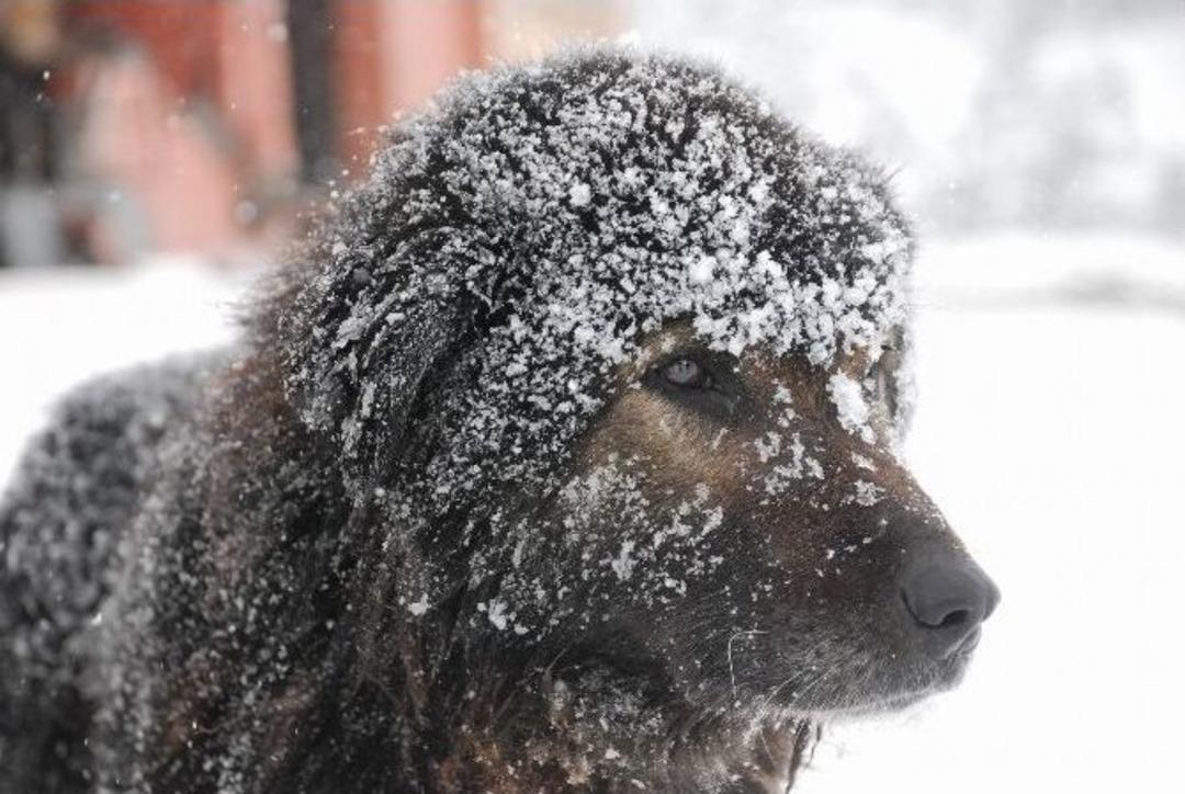 Tokat&rsquo;ta Kar Yağışı Tipiye D&ouml;n&uuml;şt&uuml;