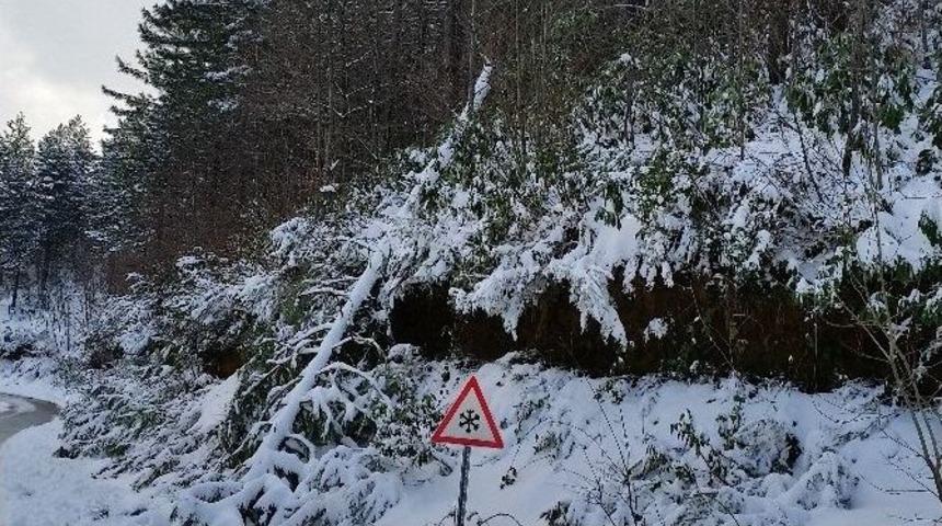 Yoğun Kar Yağışı Ve Tipi Hayatı Olumsuz Etkiliyor