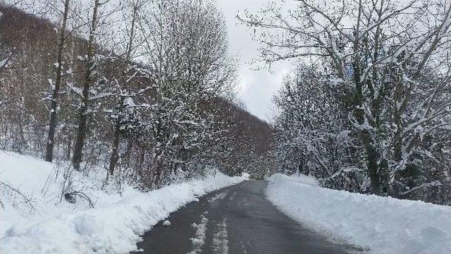 Yoğun Kar Yağışı Ve Tipi Hayatı Olumsuz Etkiliyor