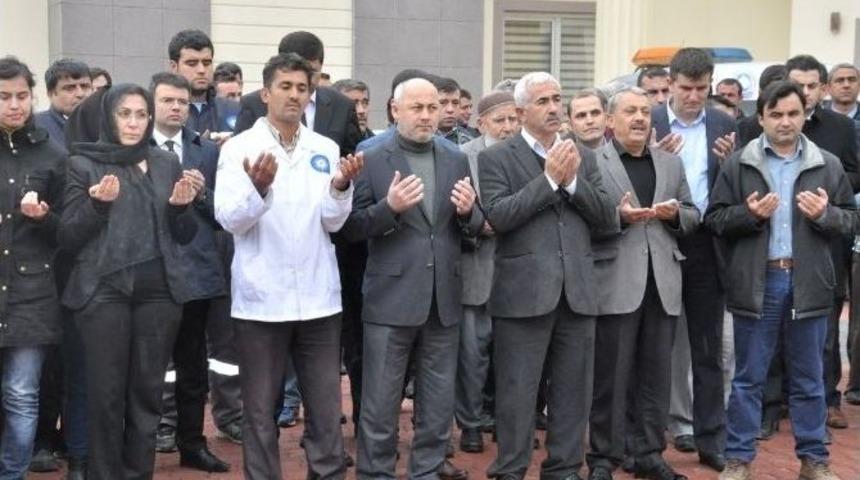 Ak Partili Kadınlardan Kadına Şiddete Tepki