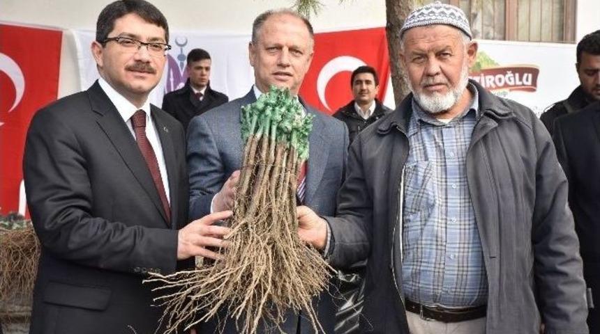 Şehzadeler&rsquo;den &Ccedil;ift&ccedil;ilere Fidan Desteği