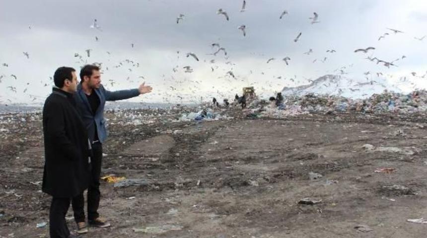 &Ccedil;evre M&uuml;hendisleri Odası: Van &Ccedil;&ouml;pl&uuml;ğ&uuml; Patlamak &Uuml;zere