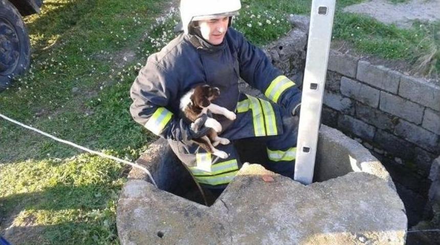 Su Kuyusuna D&uuml;şen Yavru K&ouml;peği İtfaiye Kurtardı