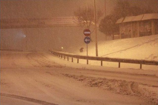 İstanbul’da Hayvanlar Donma Tehlikesi Geçirdi