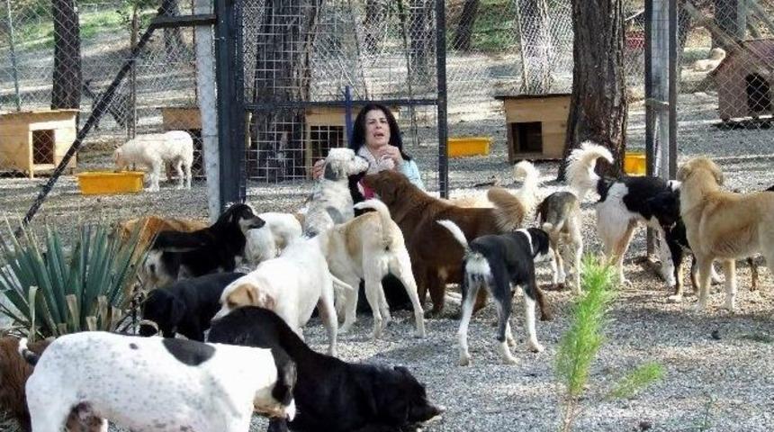 Haytap İl Temsilcisi Dağdelen&rsquo;den Nihat Doğan&rsquo;a Su&ccedil; Duyurusu