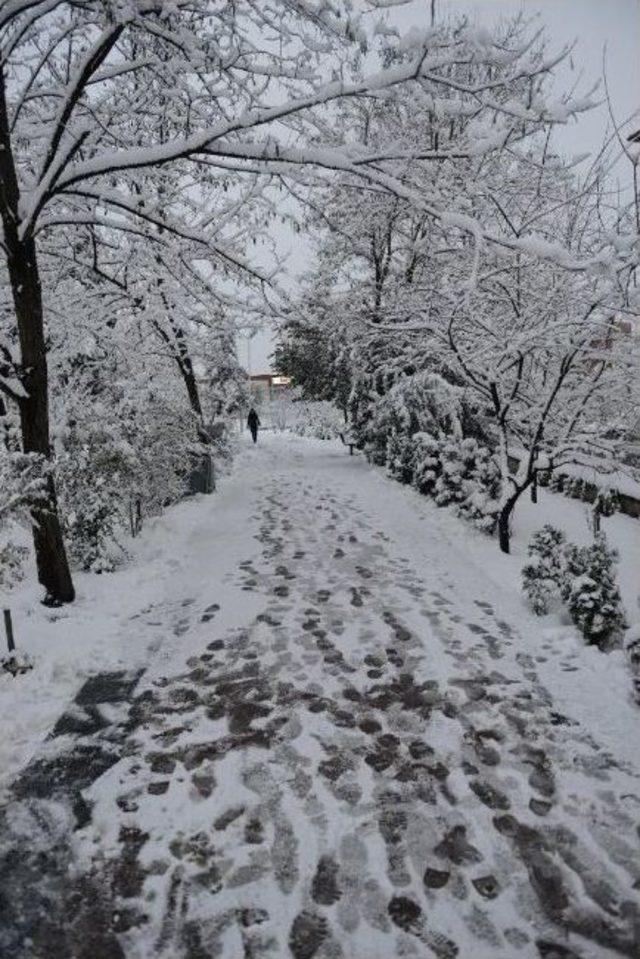 Bartın’da Yar Yağışı Etkili Oldu