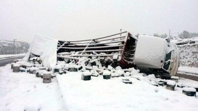 Bira Yüklü Tır Devrildi