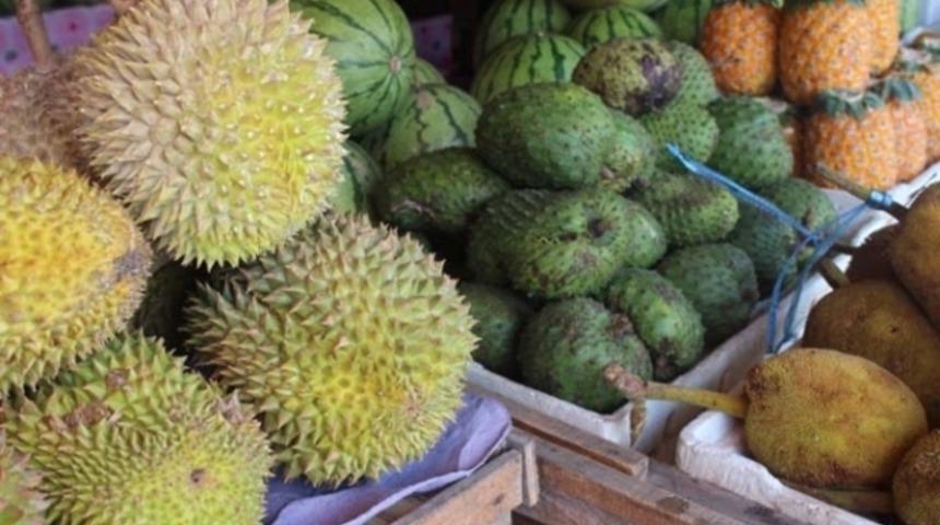 Vitamin ve g&uuml;&ccedil;l&uuml; antioksidan deposu